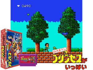 Tashiro Masashi No Princess Ga Ippai (J) Cover